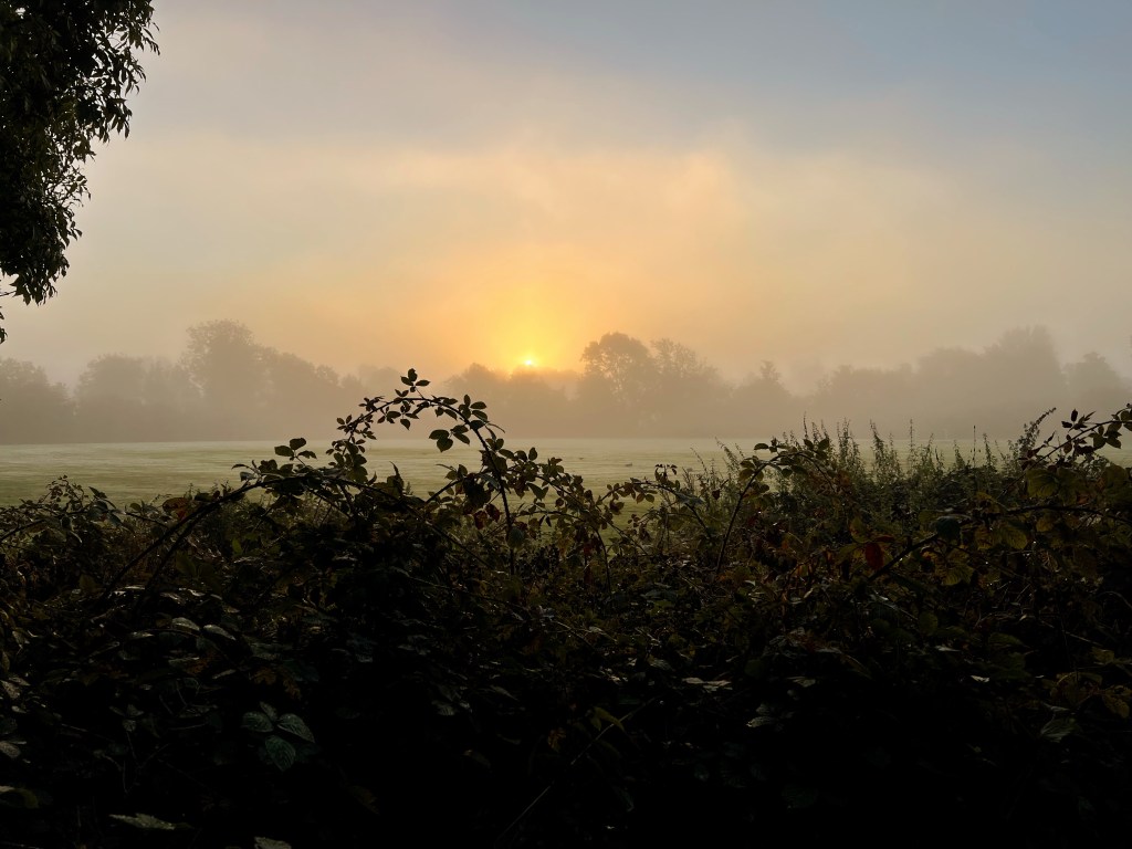 A reverse commute through Stockport is vital for The Urban Wanderer  Credit: Sarah Irving