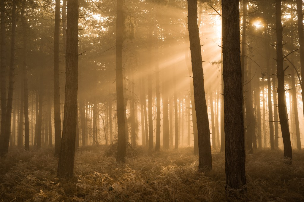 Winter light can be magical. Credit: Alex Roddie