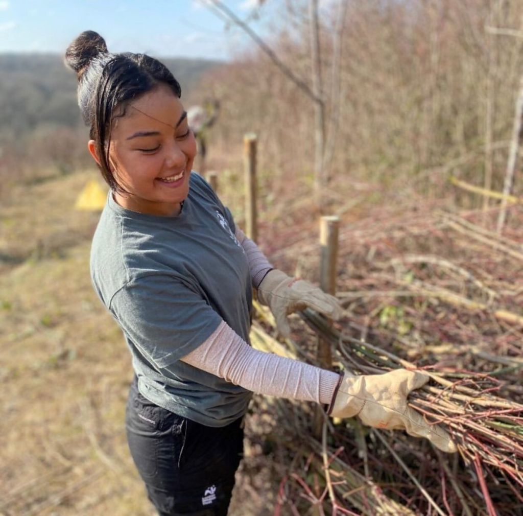 Installing wattle fencing. Credit: @outsidewithlira/Instagram