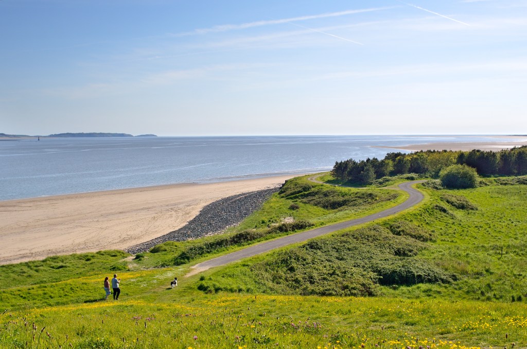 Spot dunlin, ringed plover, sanderling, and redshank along the Millennium Coastal Path_credit @carmscouncil