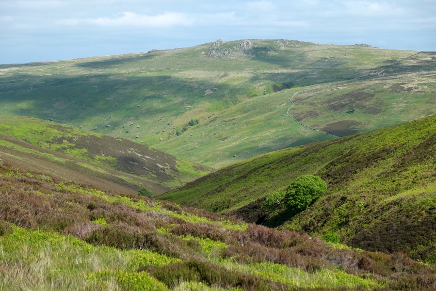 Wooler weekend - On the descent from The Cheviot. Credit: Vivienne Crow