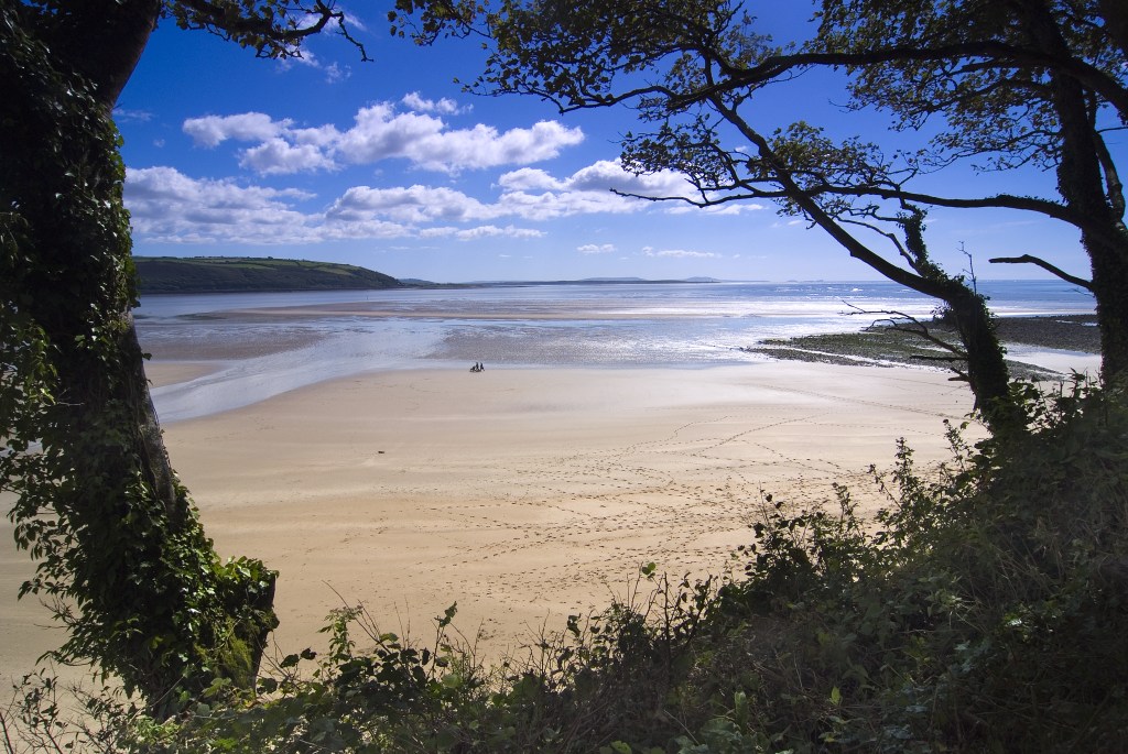 Looking through the woodland to Scott’s Bay_credit @carmscouncil