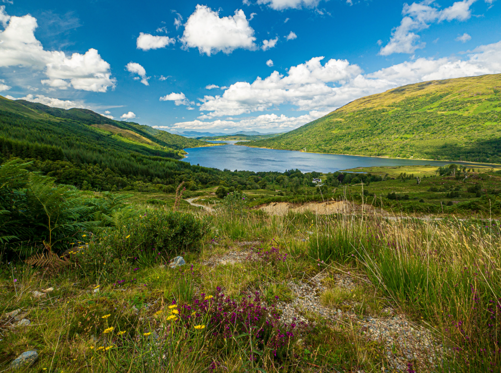 18 - Loch Creran -7230209