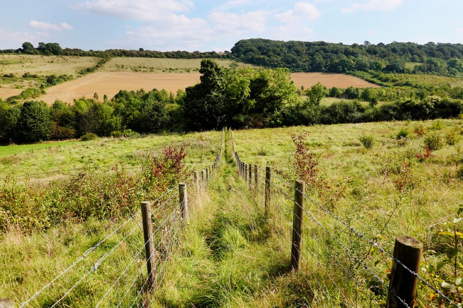 Nature, fenced off. Credit: Alistair Humphreys