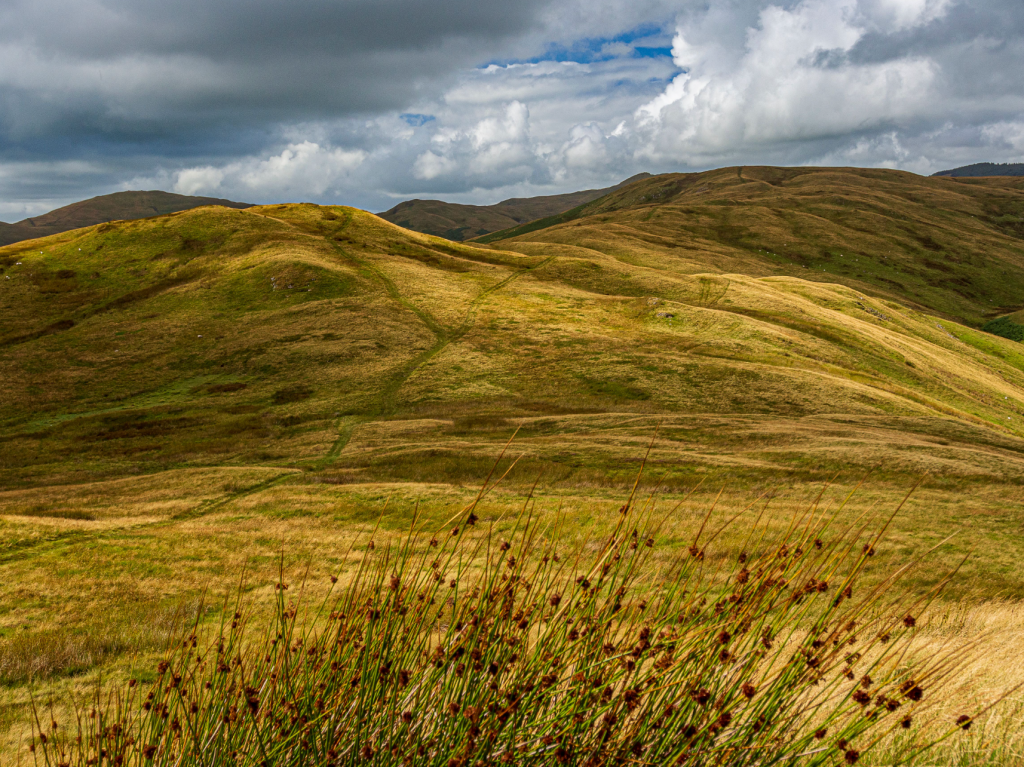 Whinash - Belt Howe and Casterfell Hill 