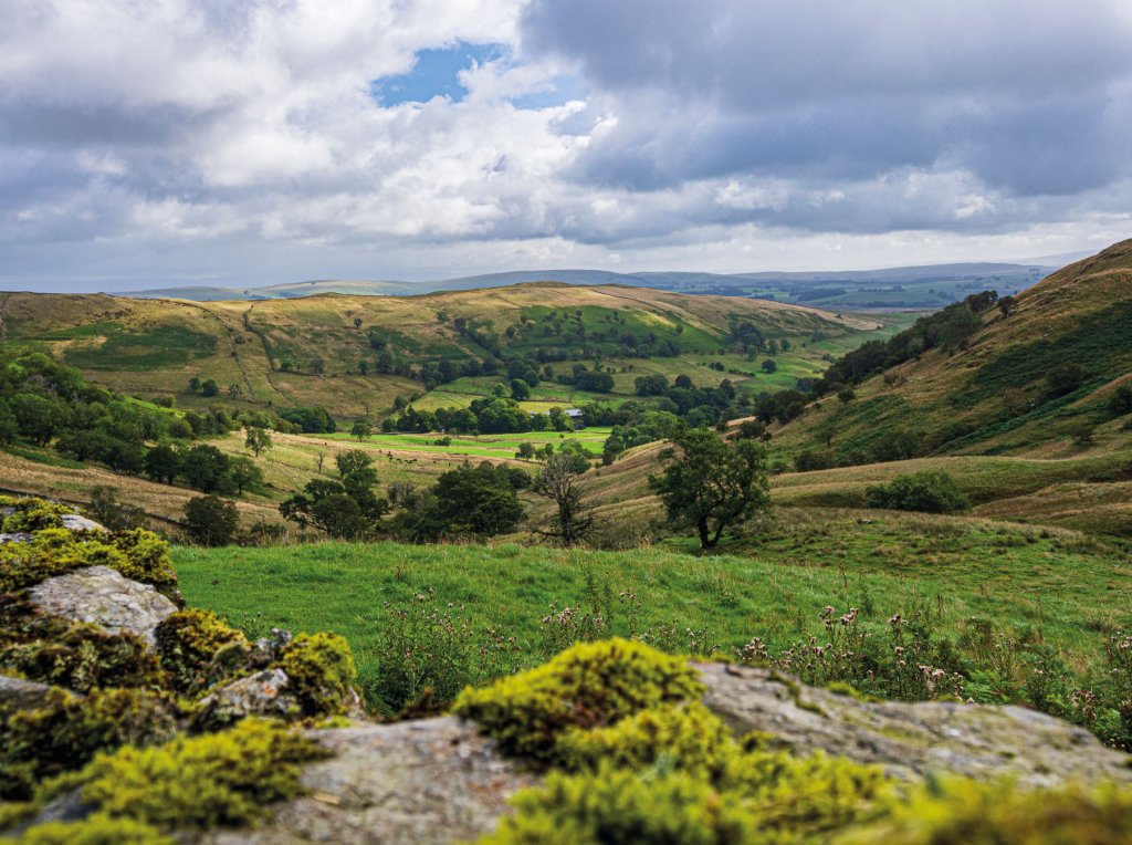 Bretherdale from Breast High