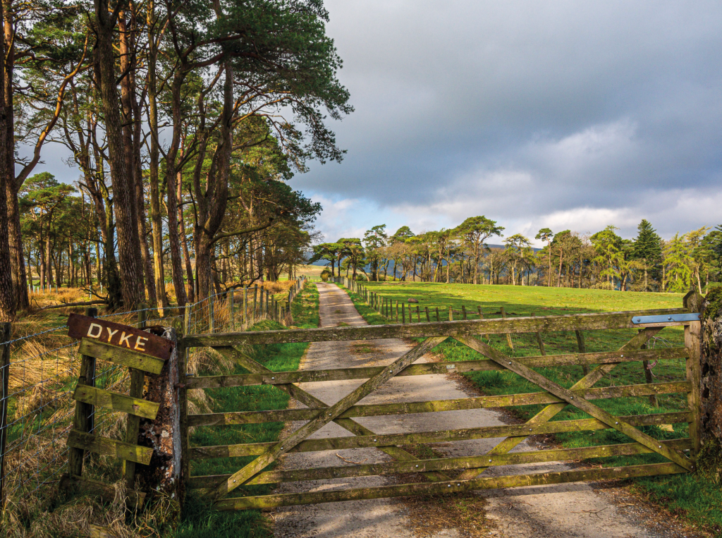 Track to Dyke Farm