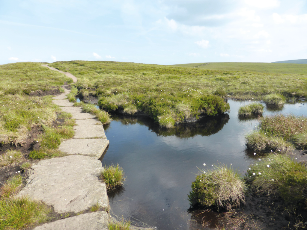 Stone slabs along Offa's Dyke Path