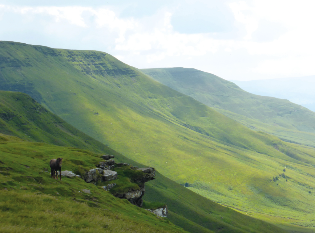 Vale of Ewyas - Northern escarpment