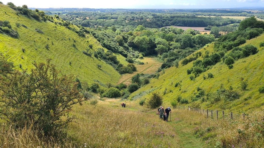 In the North Downs. Credit: Martin Gilbraith