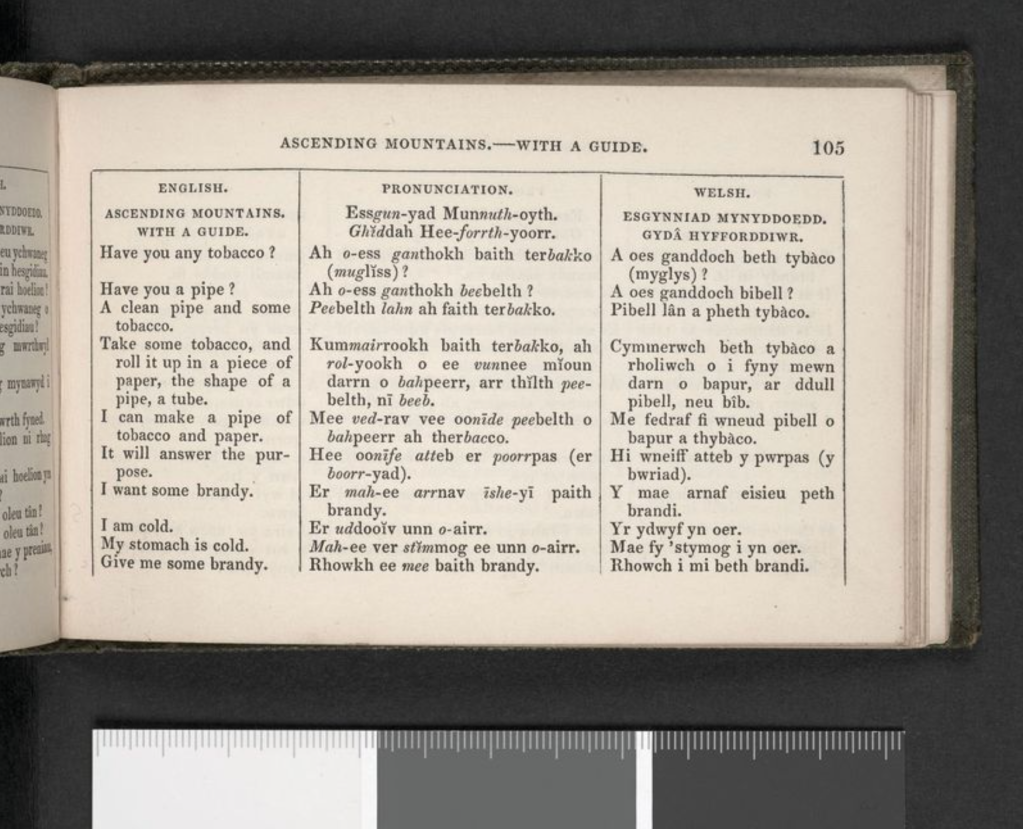 Sara Huws - The 'essentials' covered in The Welsh Interpreter. Credit: Cardiff University Libraries and Archives