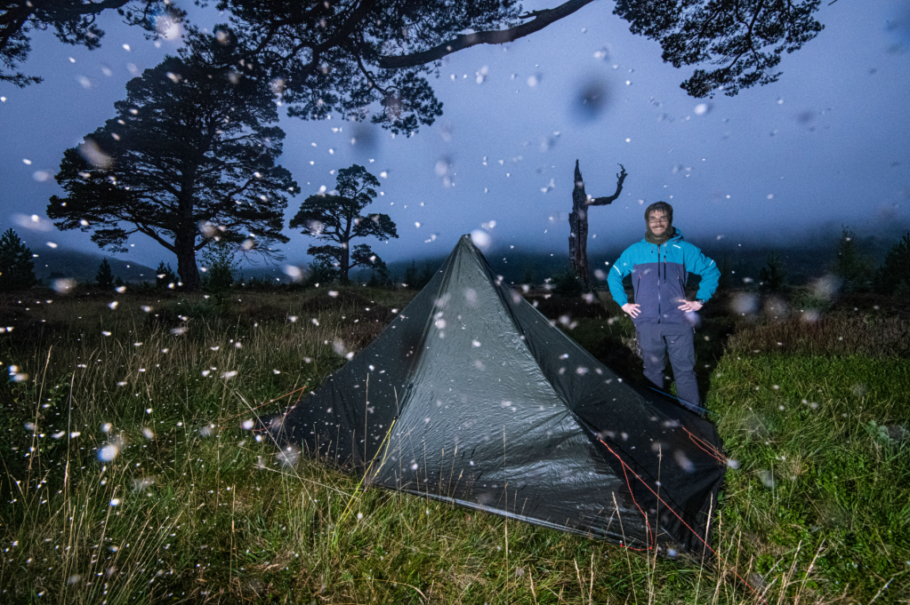 © JAMES RODDIE September midgies in Glen Feshie