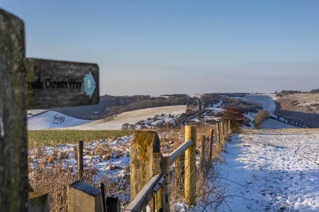 On the South Downs Way. Credit: Hanna Lindon 