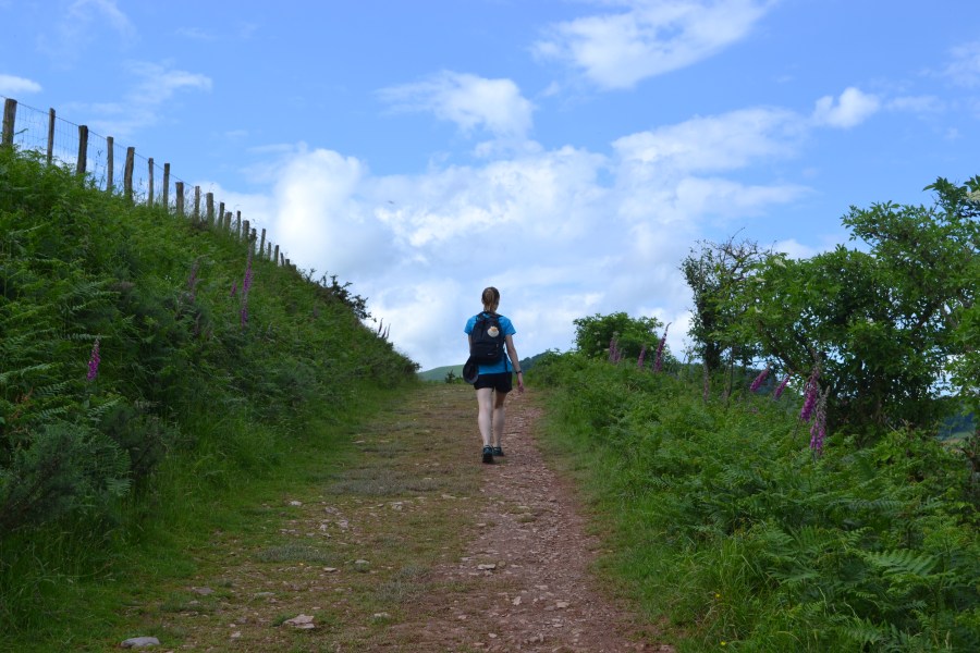 Follow the Camino