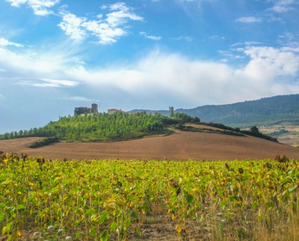 Follow the Camino