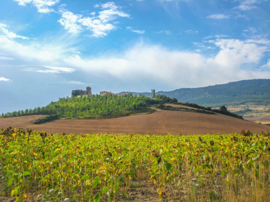 Follow the Camino