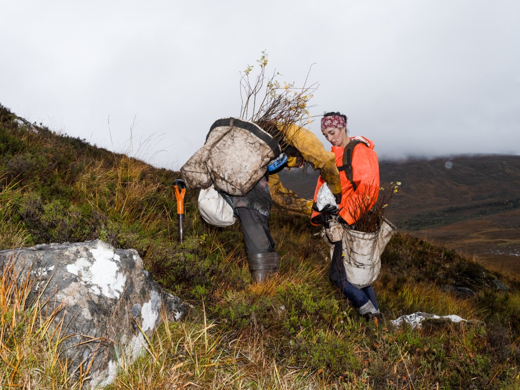 Tree planters in Glen Affric 3 © Louis McAllister
