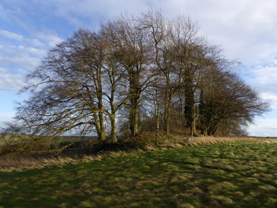 scheduled monuments - east kennett longbarrow