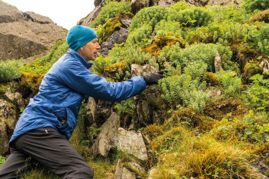 john muir trust - Property manager Pete Barron inspects apline flora at Helvellyn in 2018 (under temporary care of the Trust until early 2020's) - credit D Lintern.jpg