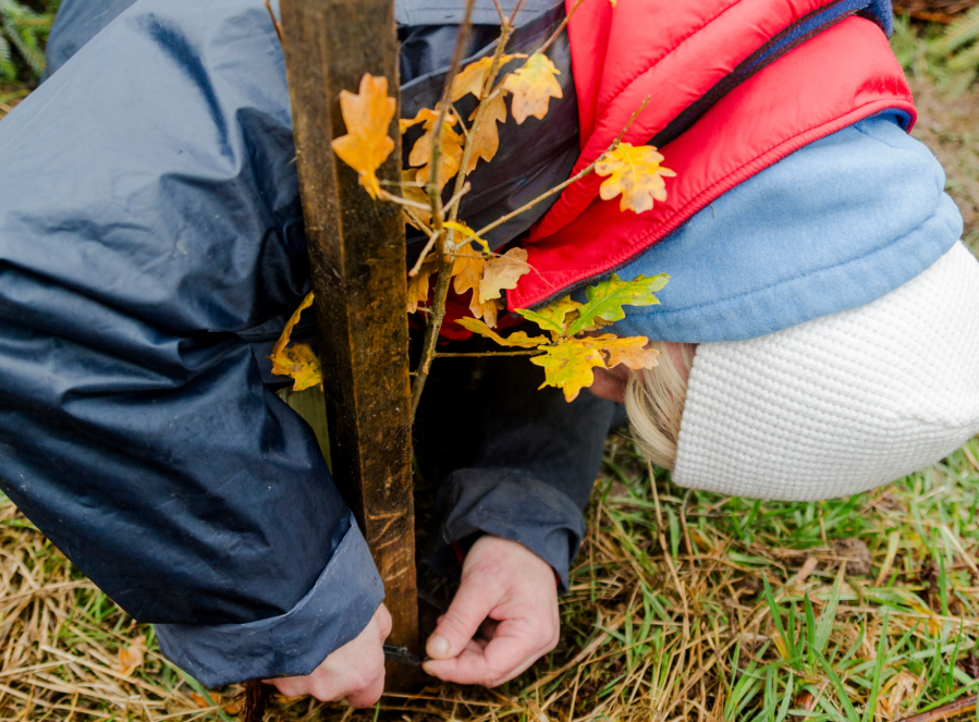 In the borders with the John Muir Award in 2012, working with youth groups - credit David Lintern
