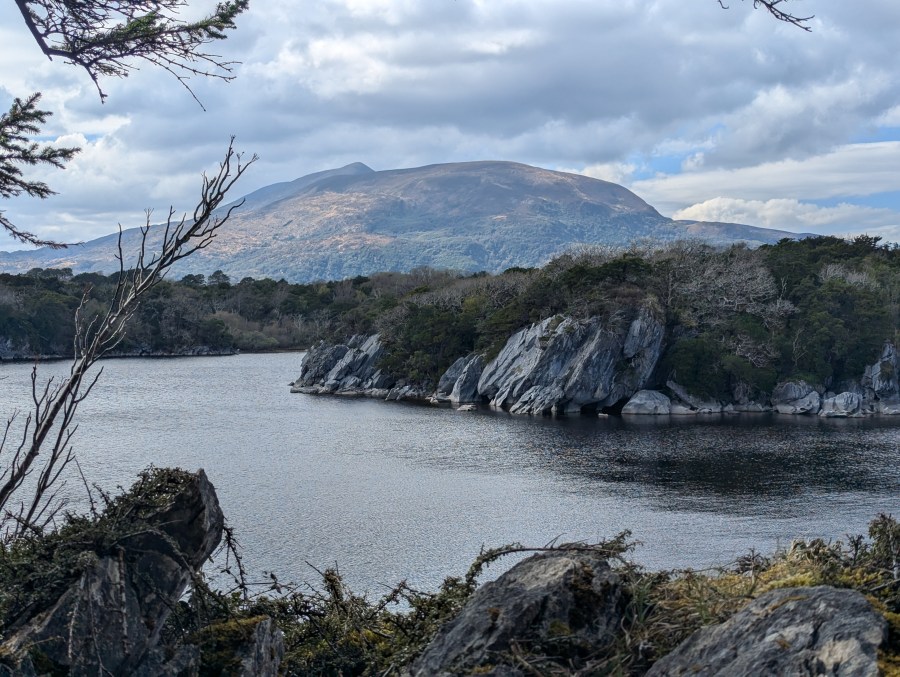 Muckross Lake self-guided walk. Credit: Francesca Donovan