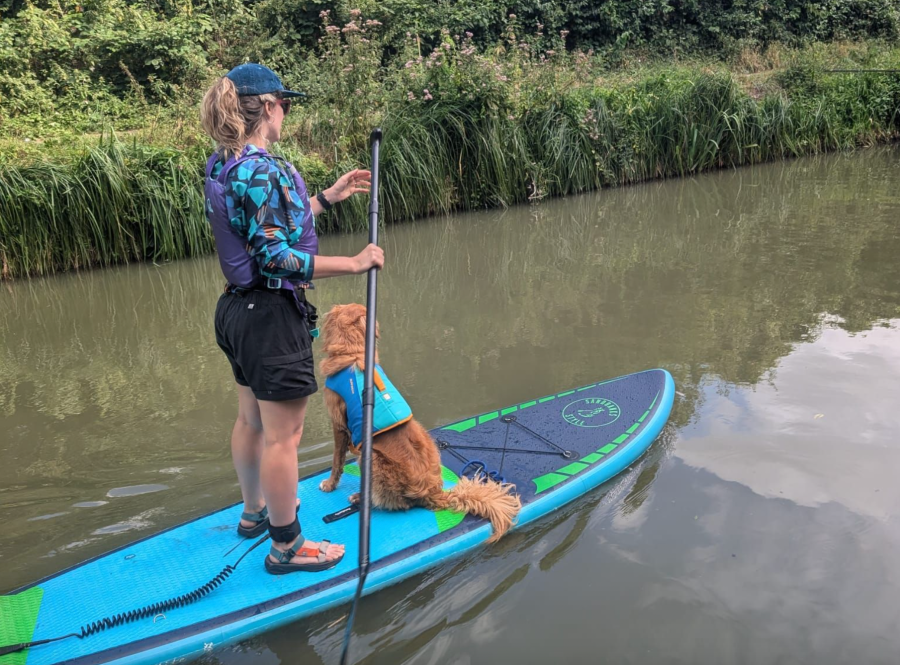 Tryfan enjoys a spot of paddleboarding with her owner, Kirsten Amor - photo credit Kirsten Amor