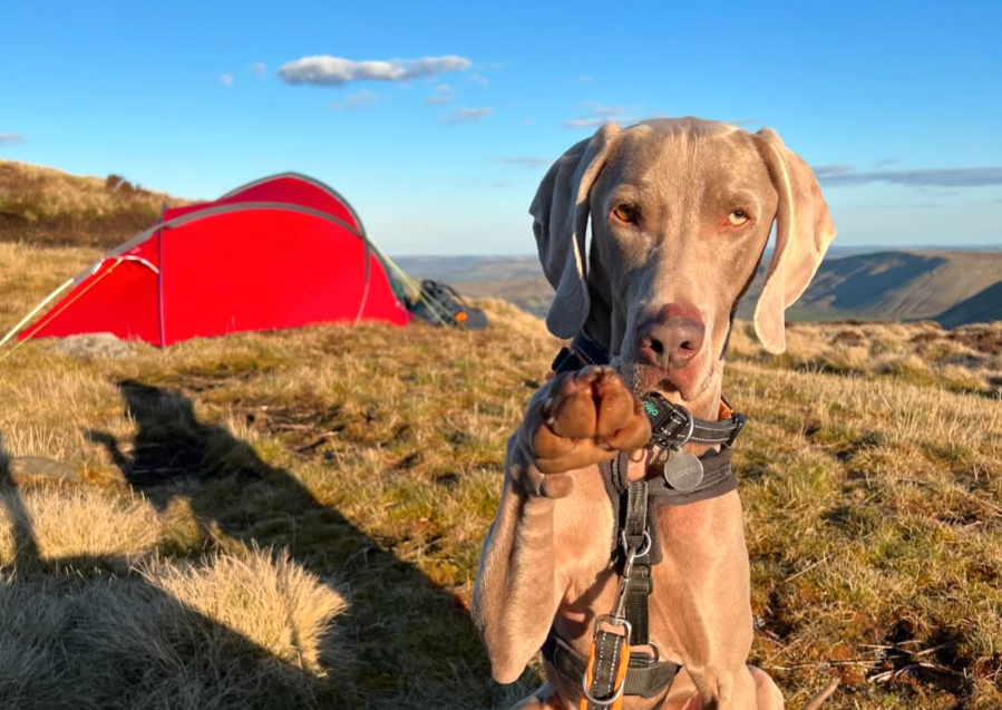 Leave no trace. Maus said so. Credit: Francesca Donovan