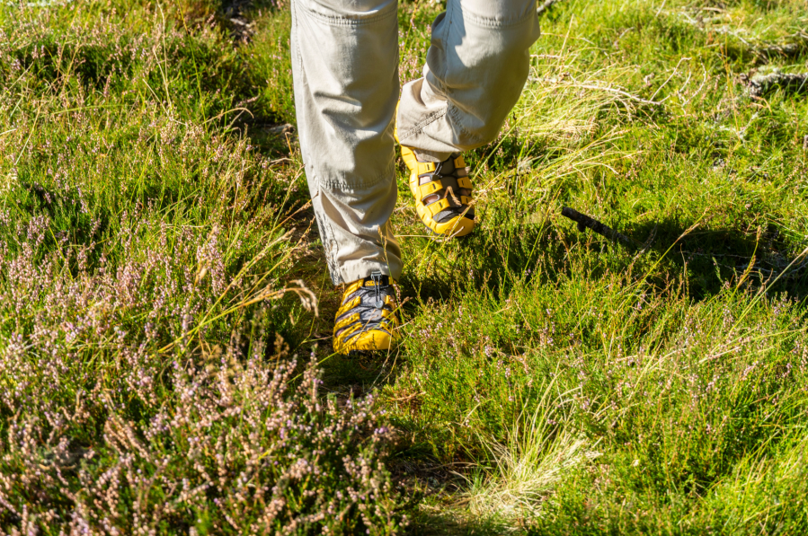 The Keen Hyperport 2 in the wild. Credit: Chris Townsend