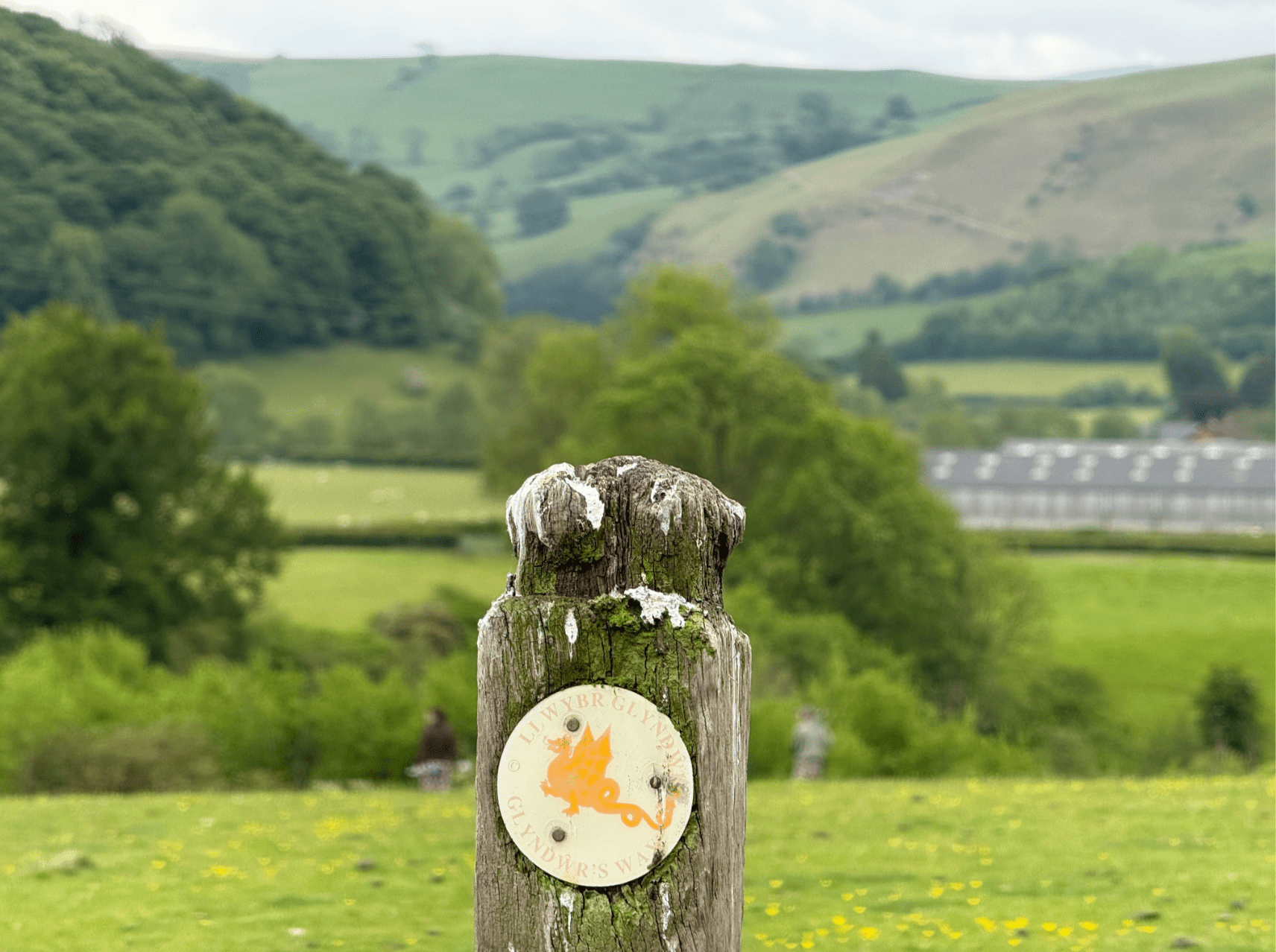 Glyndŵr's Way: trail guide | TGO Magazine