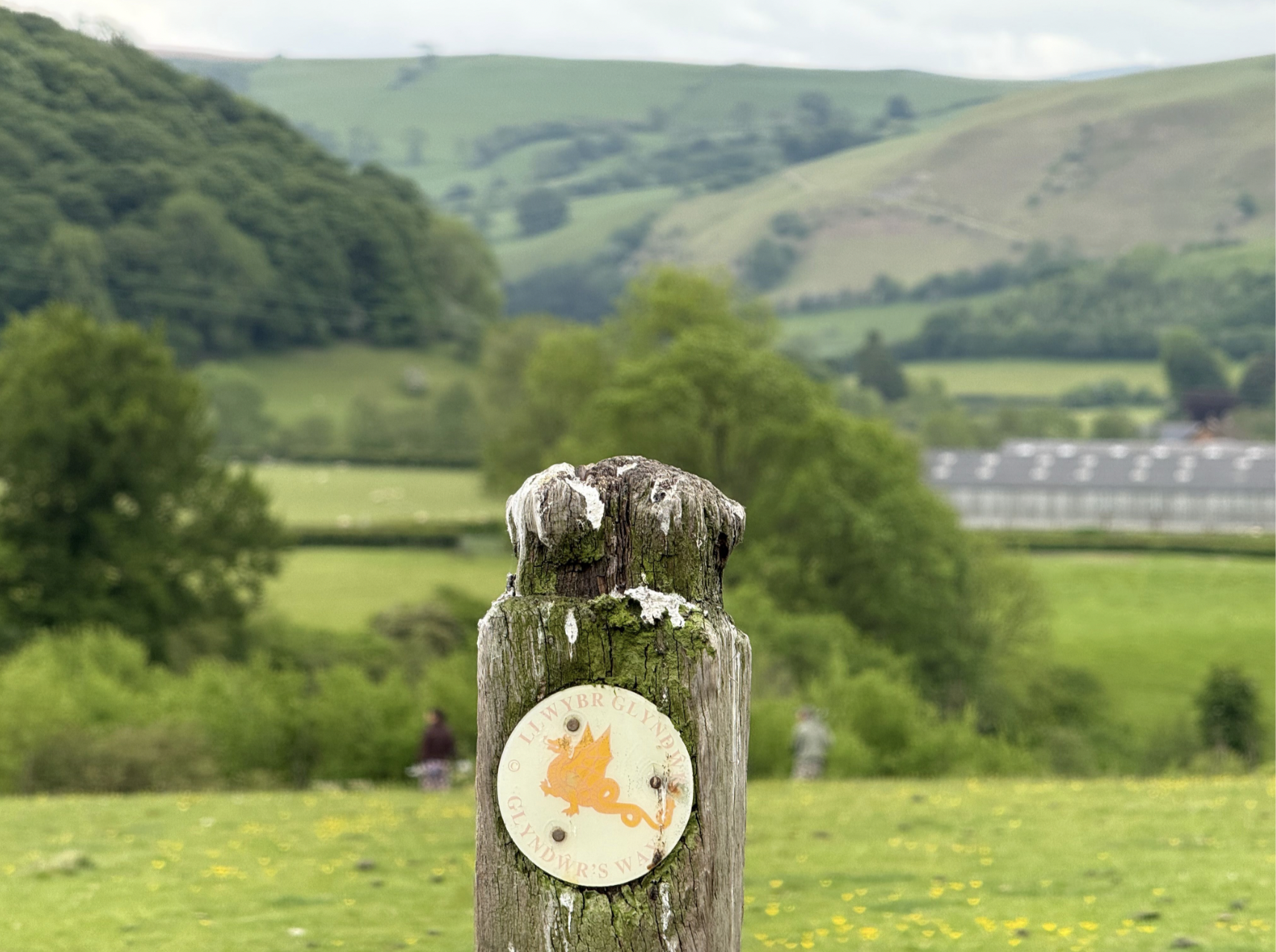 Glyndŵr's Way: trail guide | TGO Magazine