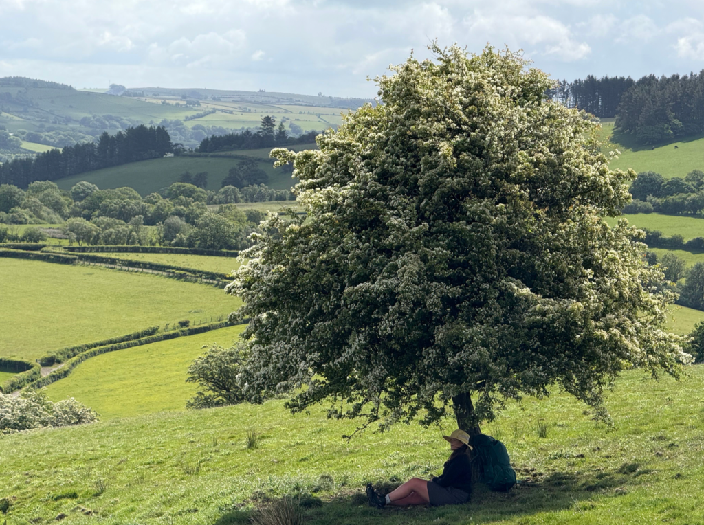 Taking in the vast scope of time held by this land. Credit: Francesca Donovan