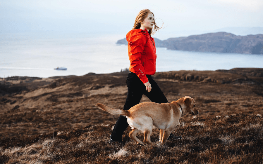 Walking with Feorlinn the Lab on Mull