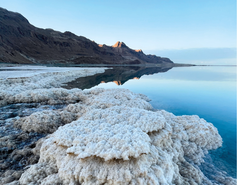 Looking out over the salty shores of the Dead Sea
