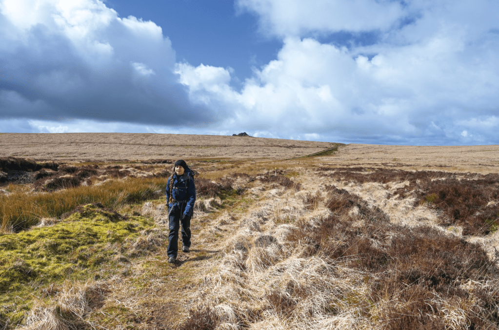 2. Starting the climb to Kitty Tor, with Great Links Tor on the horizon. - Tim Gent copy