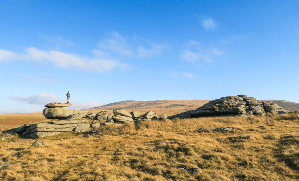 11. Shelstone Tor - Tim Gent