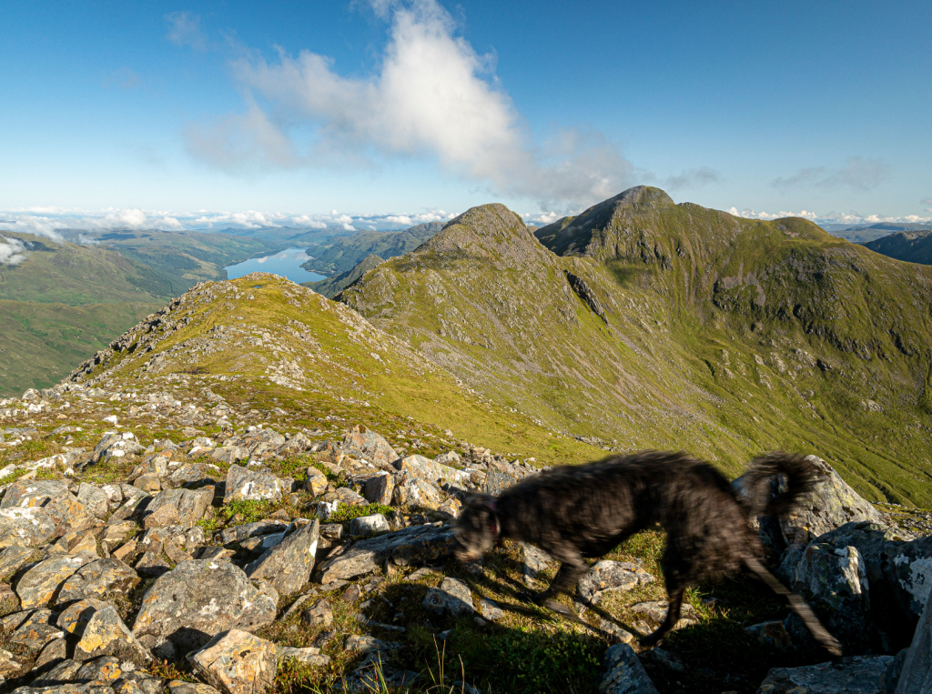 11 - Sgùrr na Carnach and Sgùrr Fhuaran from Sgùrr na Ciste Duibhe - P7230195