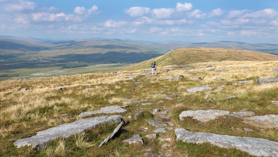 Heading towards Park Fell, Ribblehead Viaduct is visible down to the left_DSCF4652