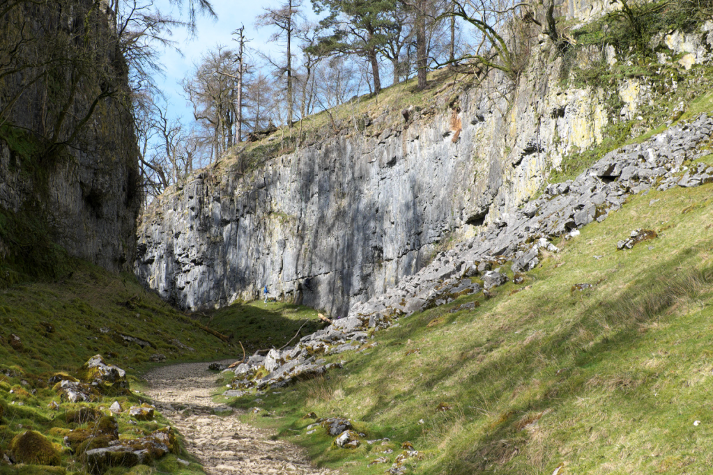 The cliffs of Trow Gill_DSCF4464 Ingleborough linear