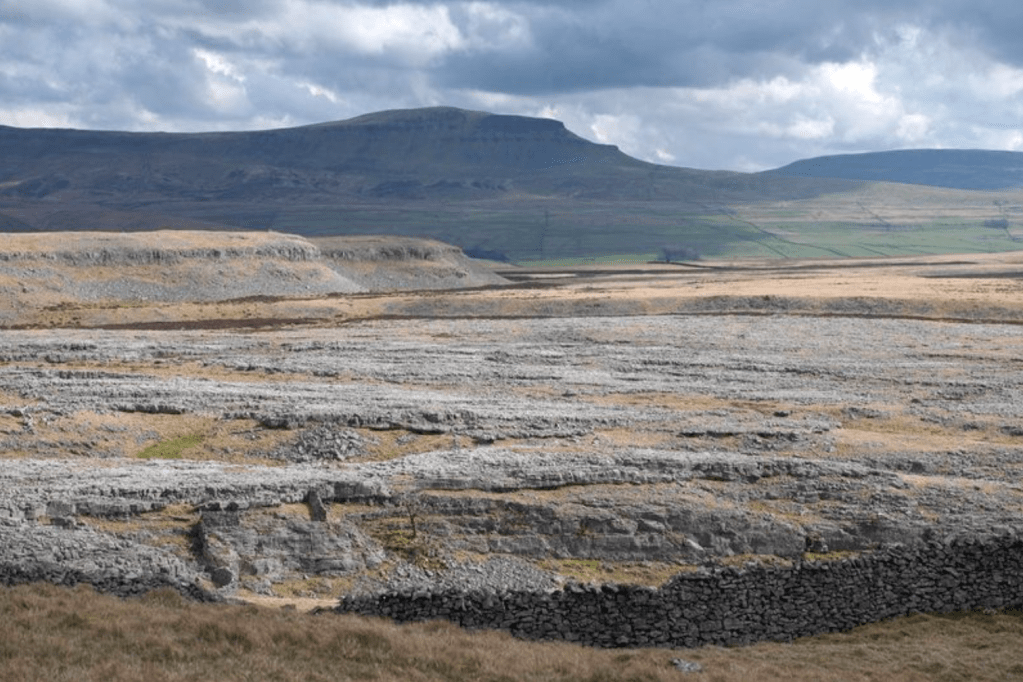 Limestone pavement of Moughton Scars with Pen-y-ghent behind_DSCF4456 Ingleborough linear
