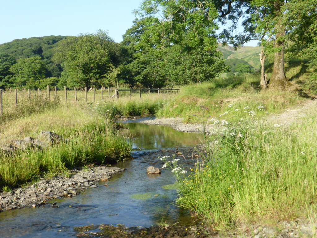 Afon Dyffryn-gwyn, Happy Valley (Cwm Maethlon), nr pt 5 (2)