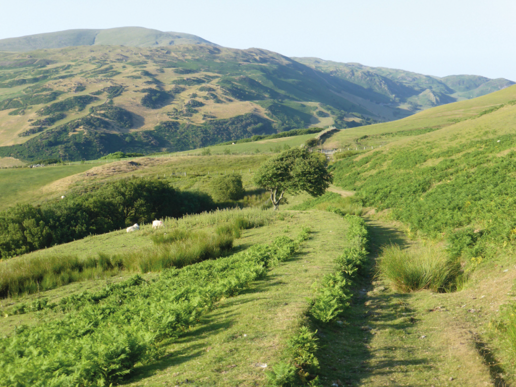 View back NE twds Tarrenhendre (top L) from S of Happy Valley (Cwm Maethlon), beyond pt 5