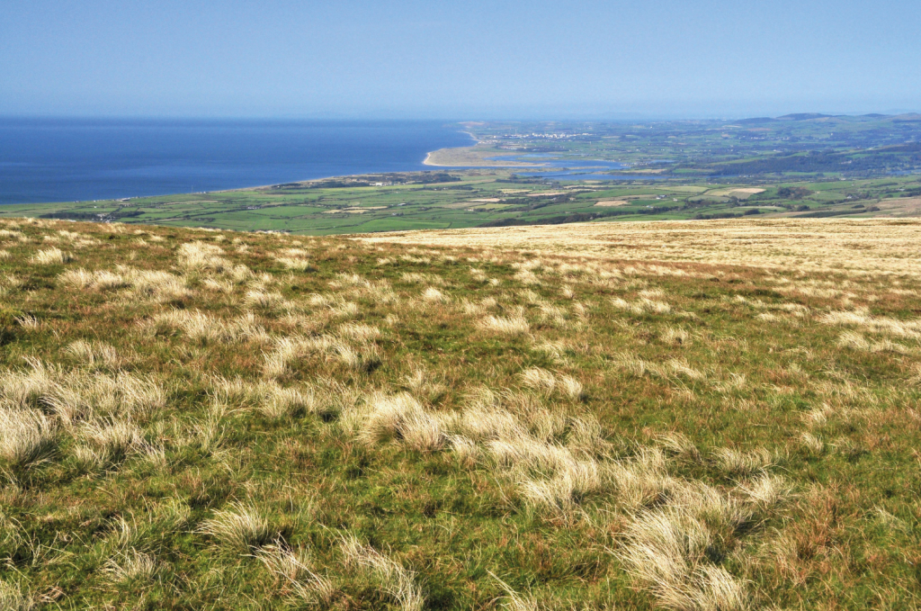 Panorama looking north along the Cumbrian coast to the estuary at Ravenglass