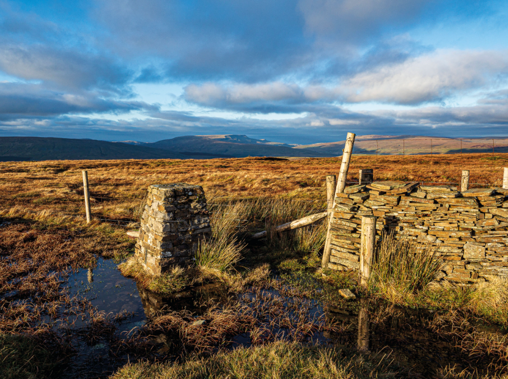 17 - Wild Boar Fell from Great Knoutberry Hill - Knoutberry-1300615