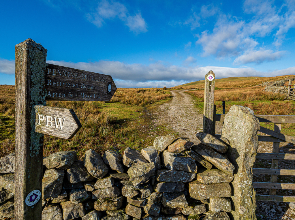 4 - Waypoint 4 - Bridleway up Wold Fell at Newby Head Gate - Knoutberry-1300584