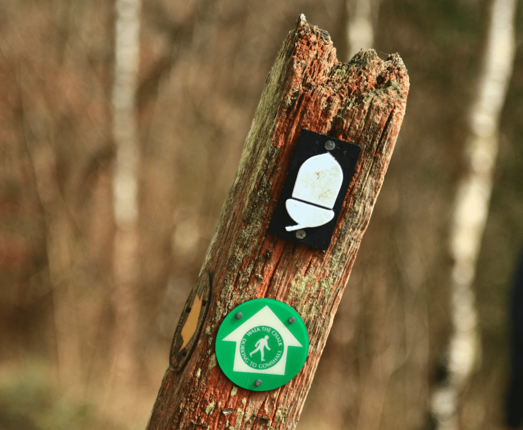 Your sign to walk the chalk. Credit: Nike Werstroh