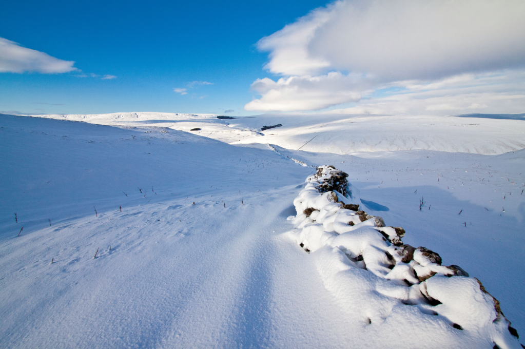 17 - Wall in a snow drift at Out Pasture - Parsons Pulpit-3116