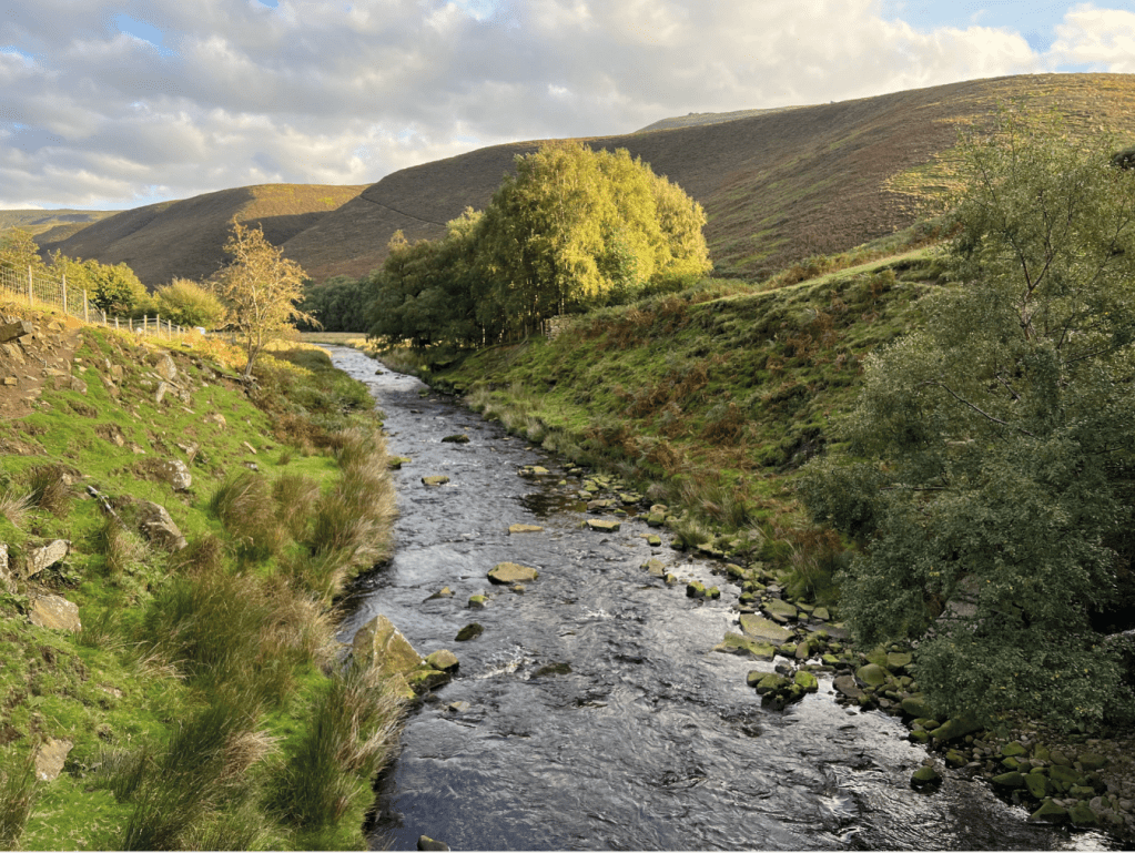 Walking over the Snake Woodlands footbridge below Fair Brook