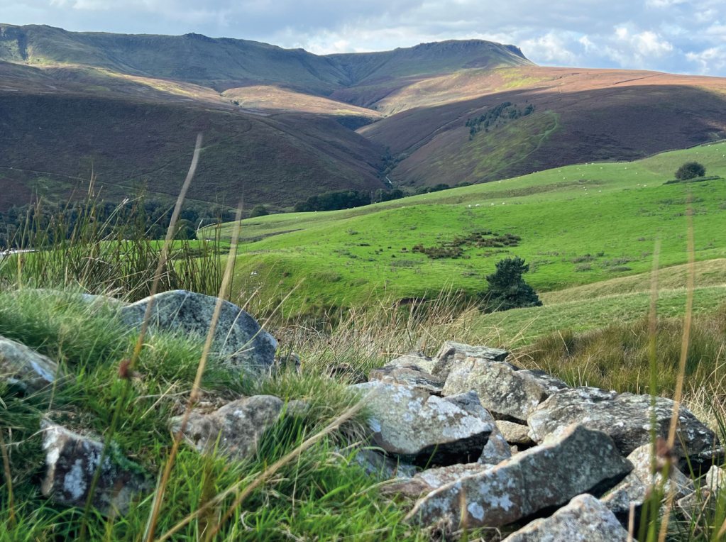 Kinder from Comws Moor