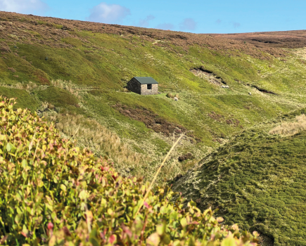 The cabin nestled in its clough