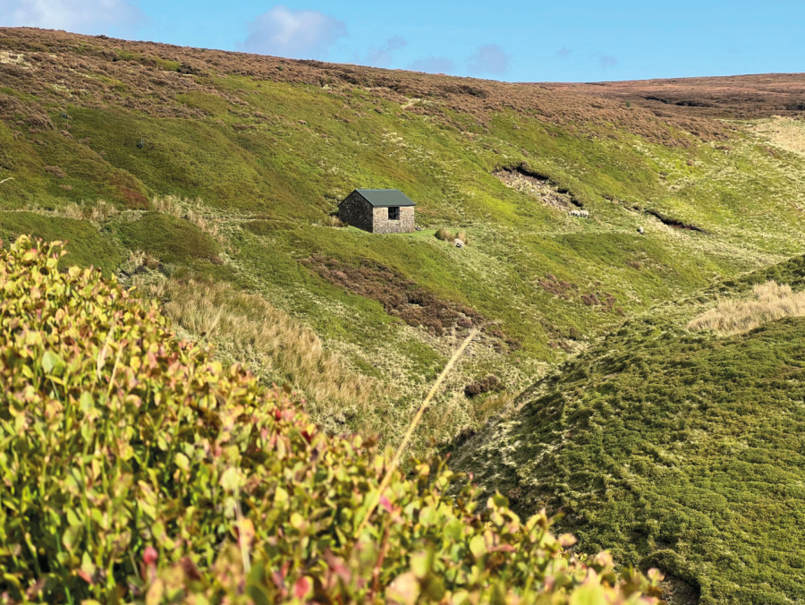 The cabin nestled in its clough